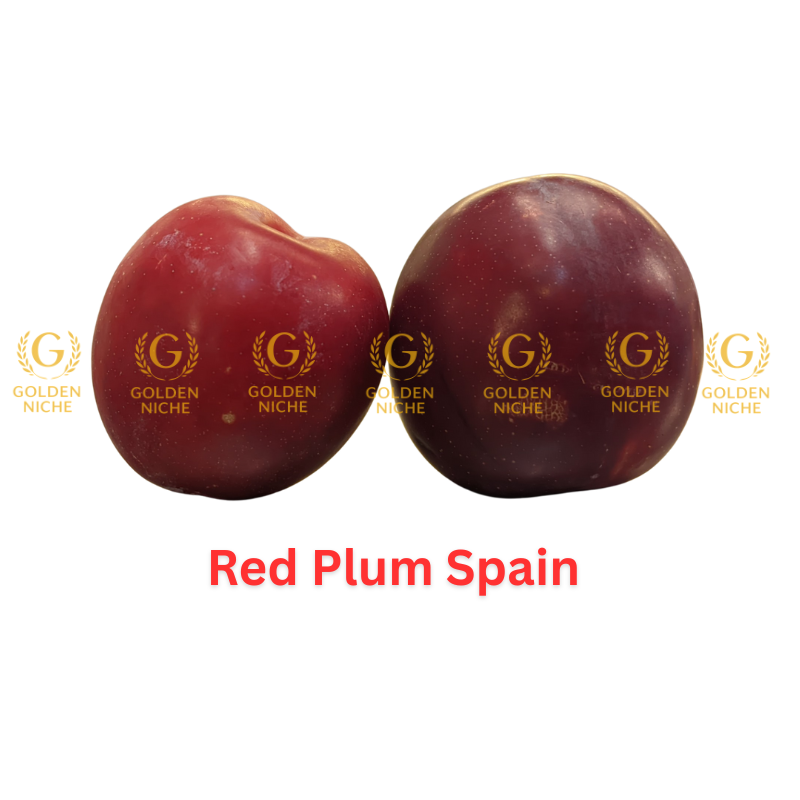 Red Plum - Image 3