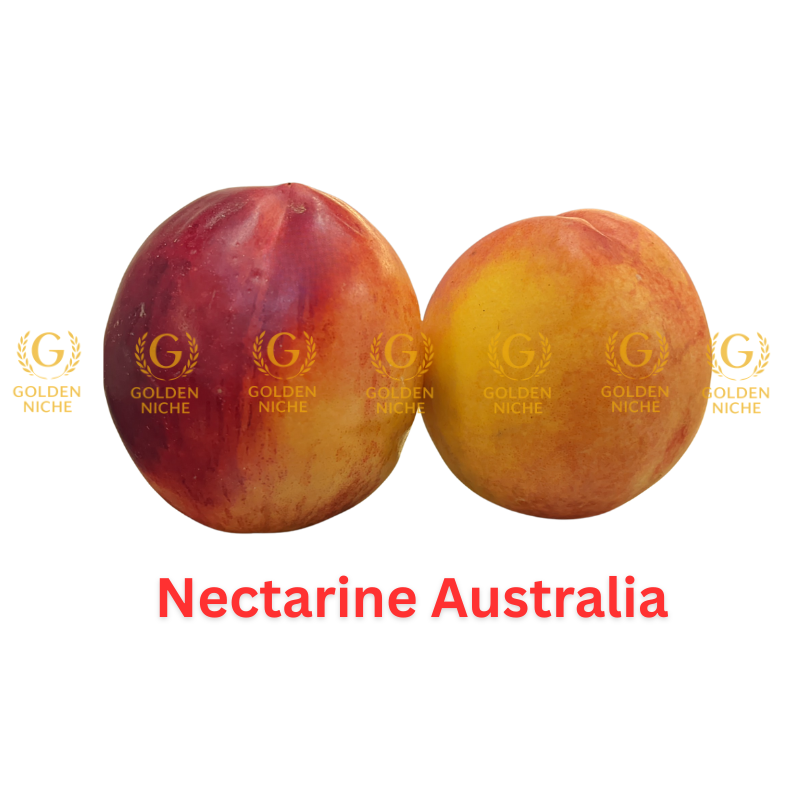 Nectarine - Image 3
