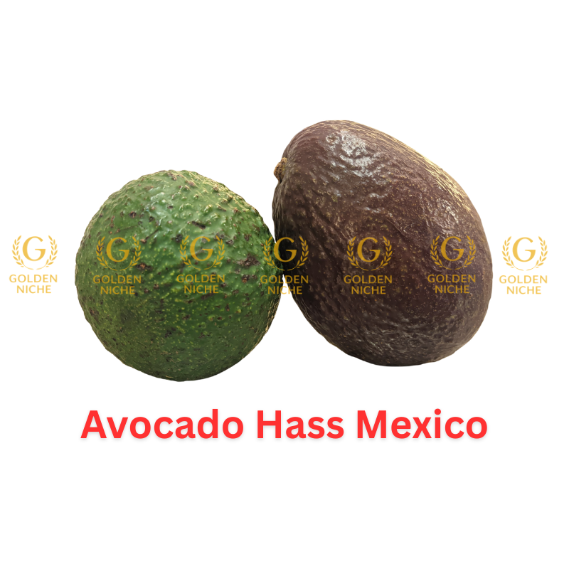 Avocado Hass - Image 1