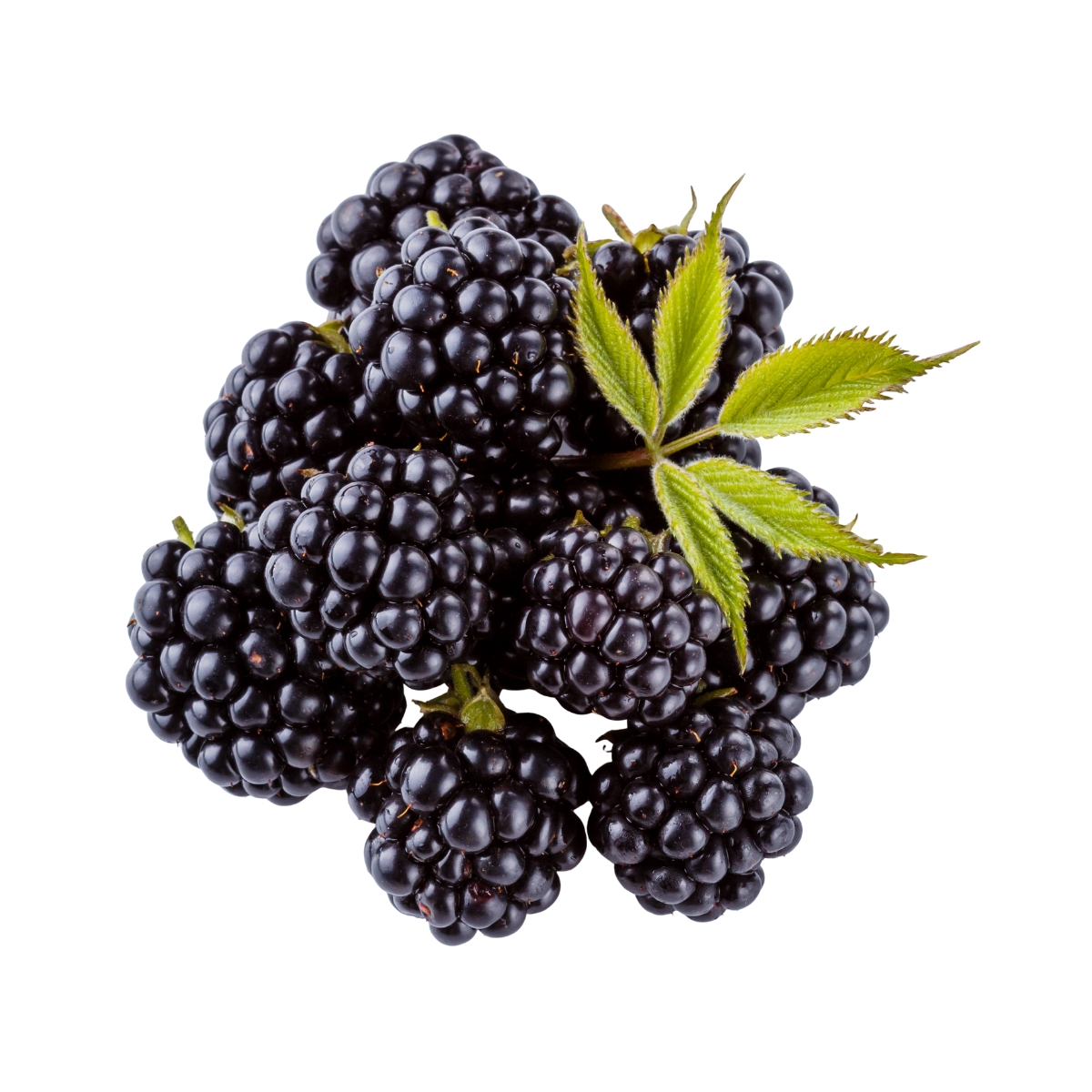 Blackberry - Image 4