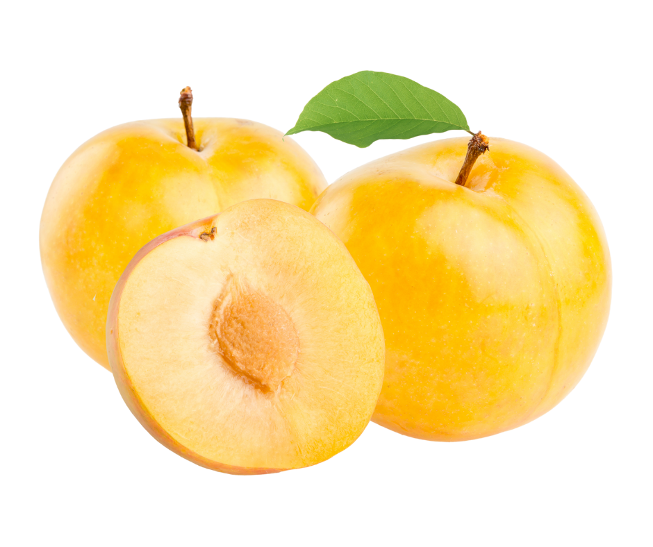 Yellow Plum - Image 3